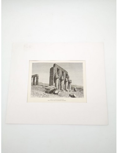Gravure Colosse du Raméssuem